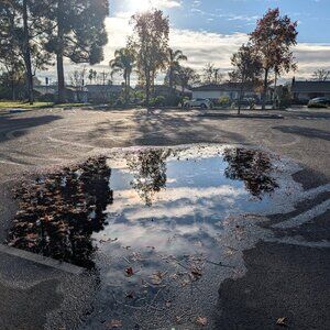 Meet your Posher, Patty